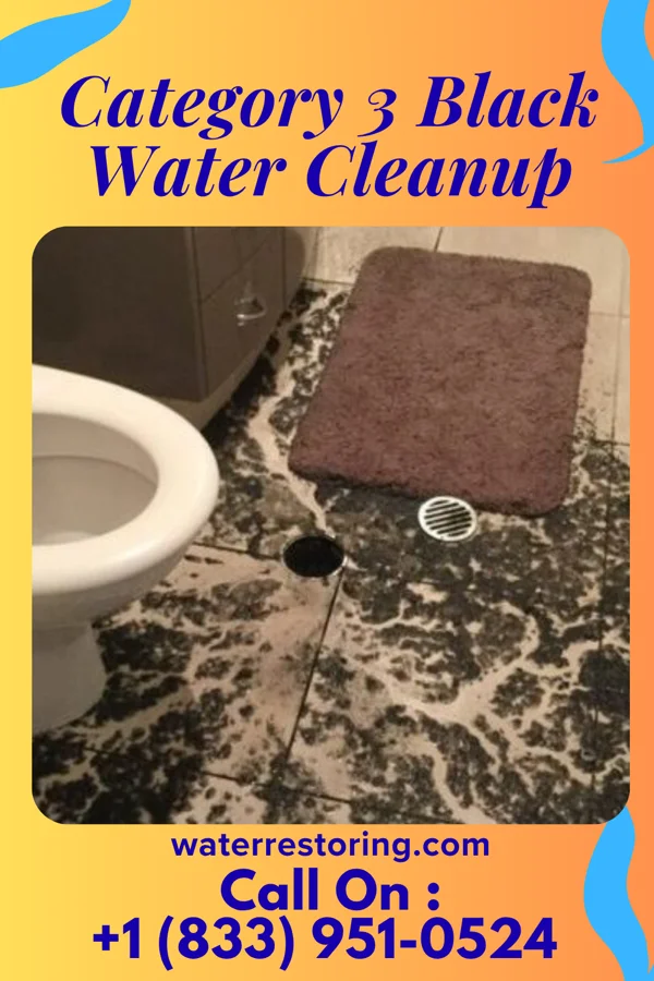 Category 3 Black Water Cleanup in Byrnes Mill, MO