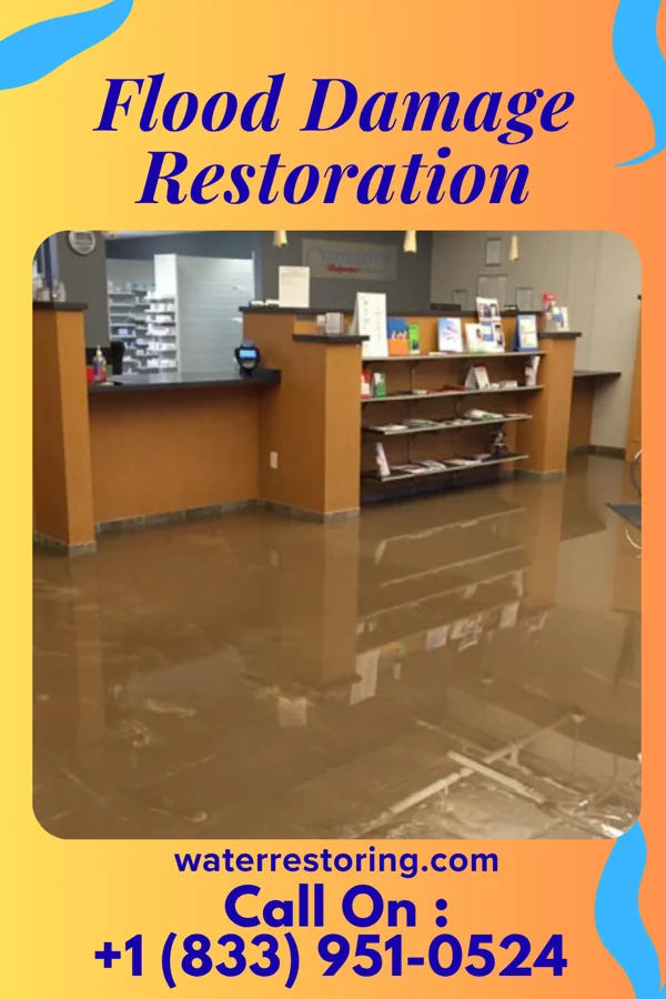 Flood Damage Restoration in Byrnes Mill, MO