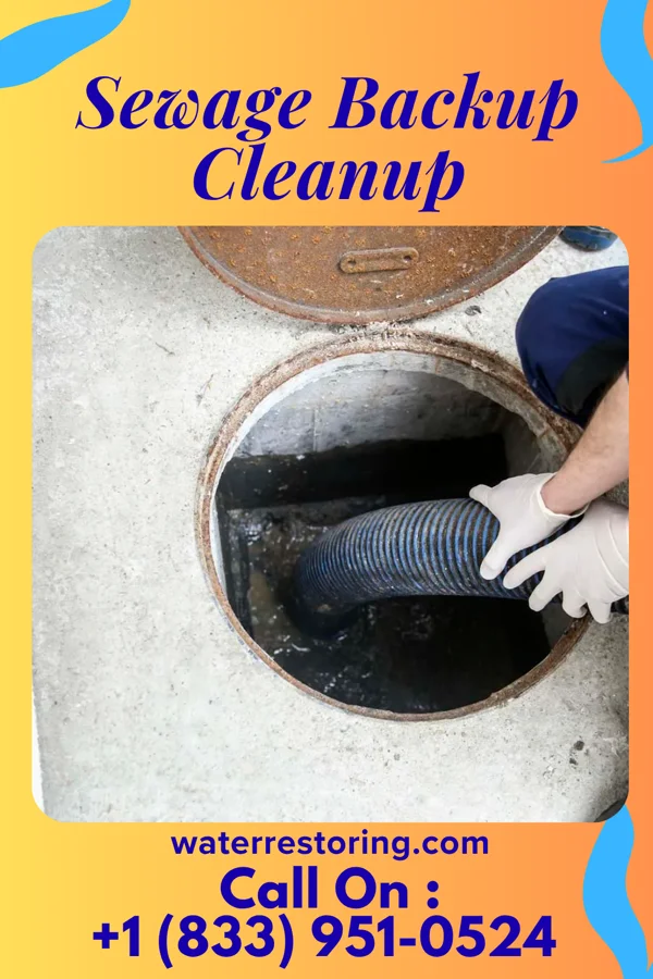 Sewage Backup Cleanup in Byrnes Mill, MO