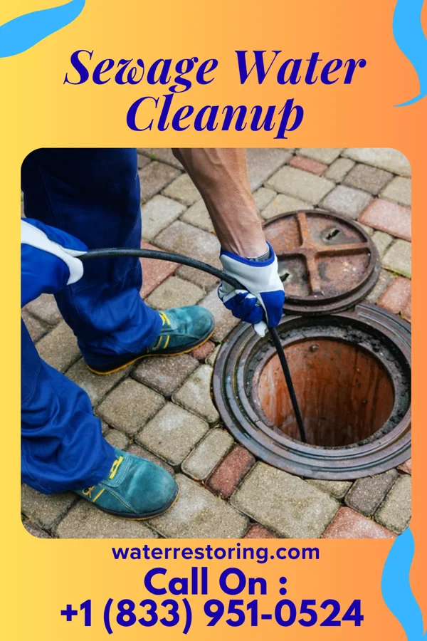 Sewage Water Cleanup in Byrnes Mill, MO